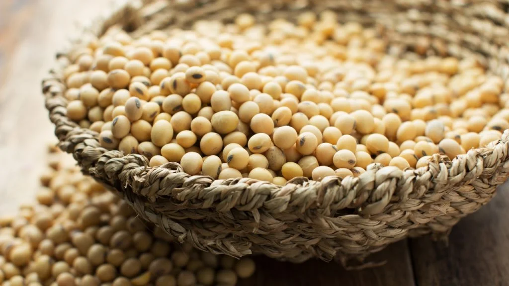Produtos derivados da soja