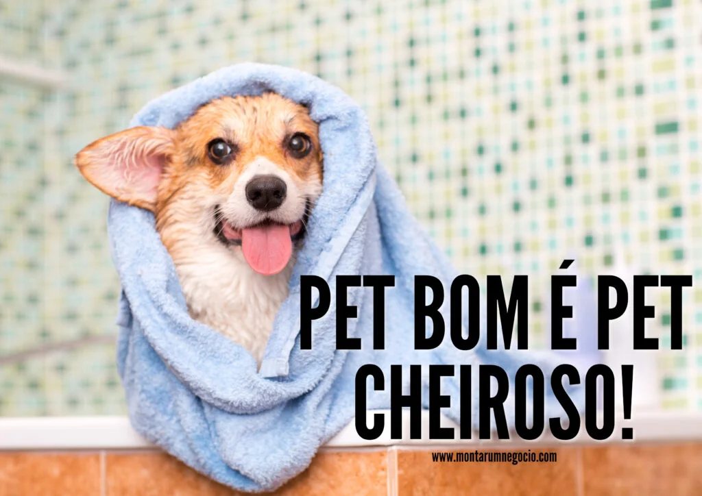 anúncio de banho e tosa anúncio de banho e tosa
