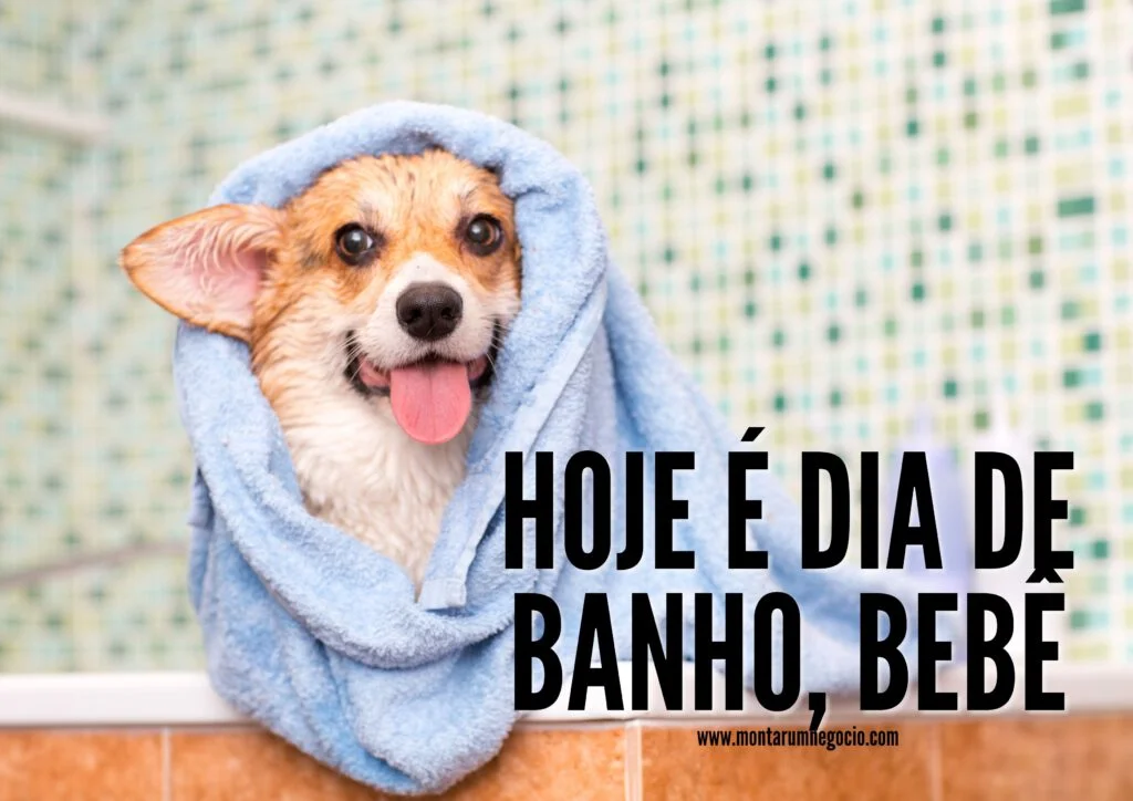frases banho cachorro frases banho cachorro