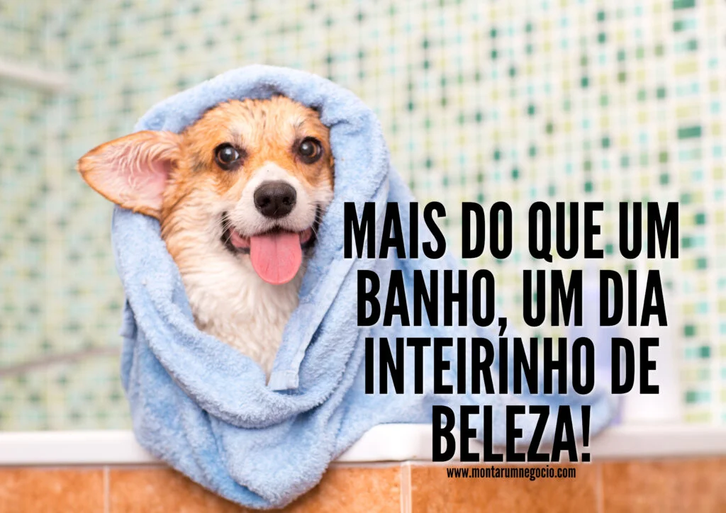 propaganda de banho e tosa propaganda de banho e tosa